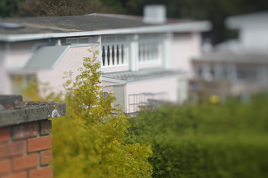 gal/2009-08-26 tilt shift/IMGP8473.jpg